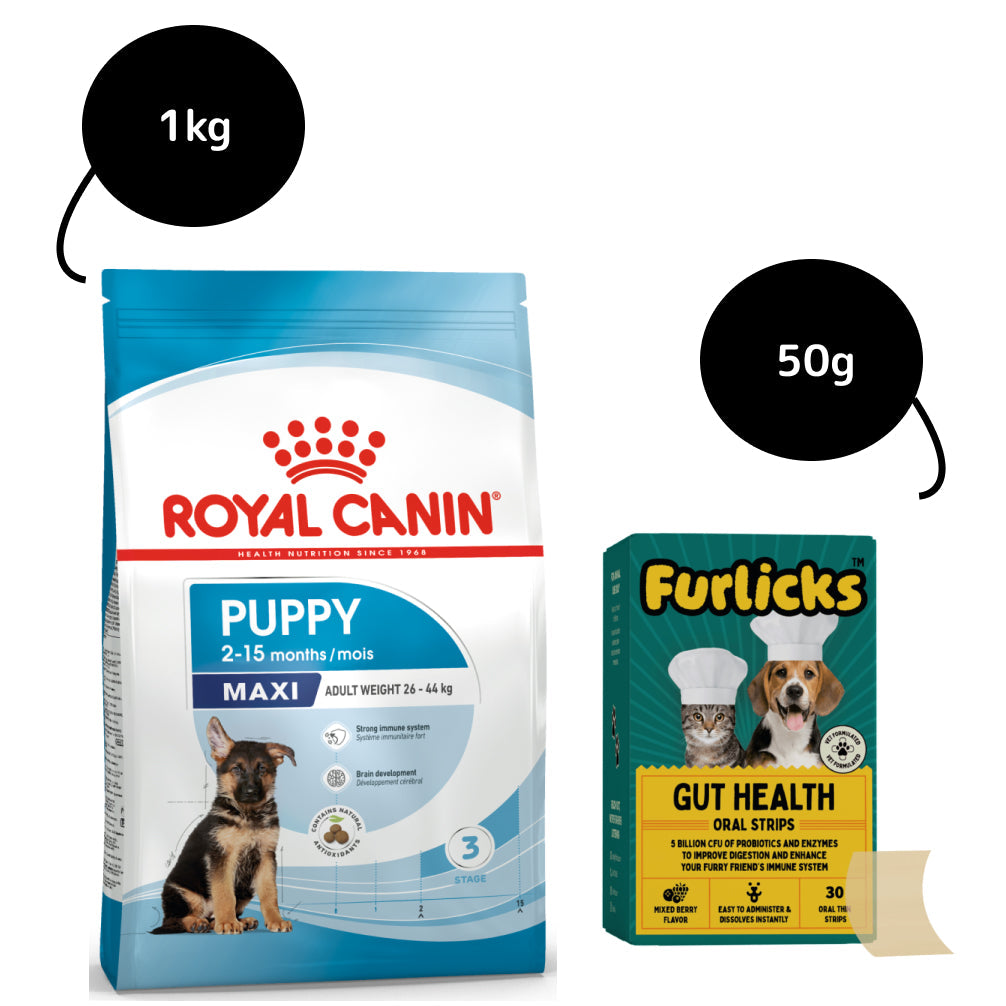Royal Canin Maxi Puppy Dry Food and Furlicks Gut Health Supplement Combo for Dogs