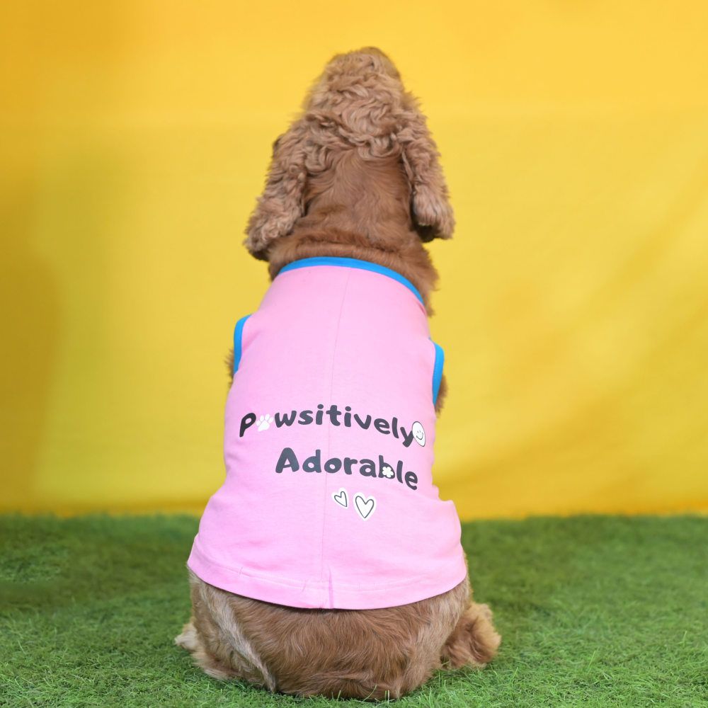 Skatrs Pawsitively Adorable Printed Summer Cotton T Shirt for Dogs and Cats (Pink)