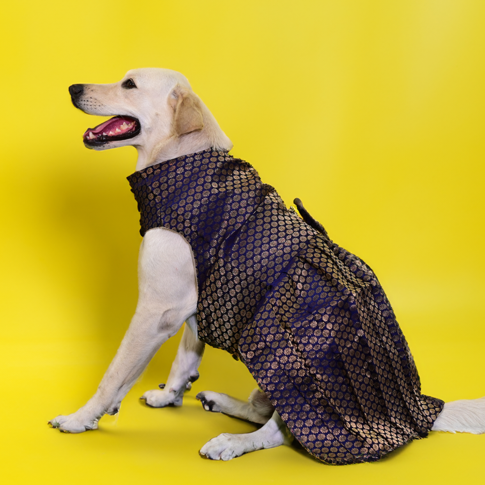 Skatrs Brocade Gold Printed Dress for Dogs and Cats (Blue)