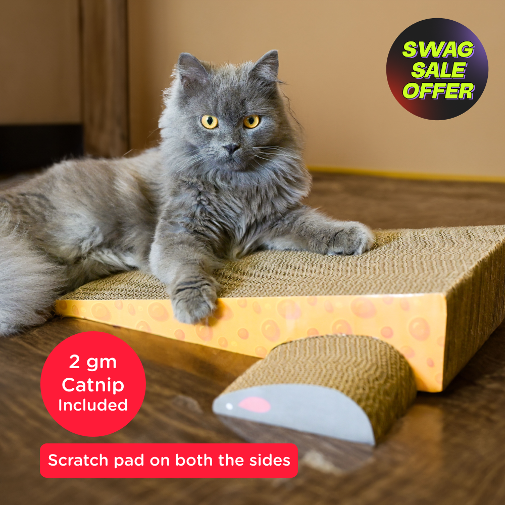 Skatrs Say Cheese Corrugated Cardboard Scratcher Pad Toy with Catnip for Cats (Length 41cm)