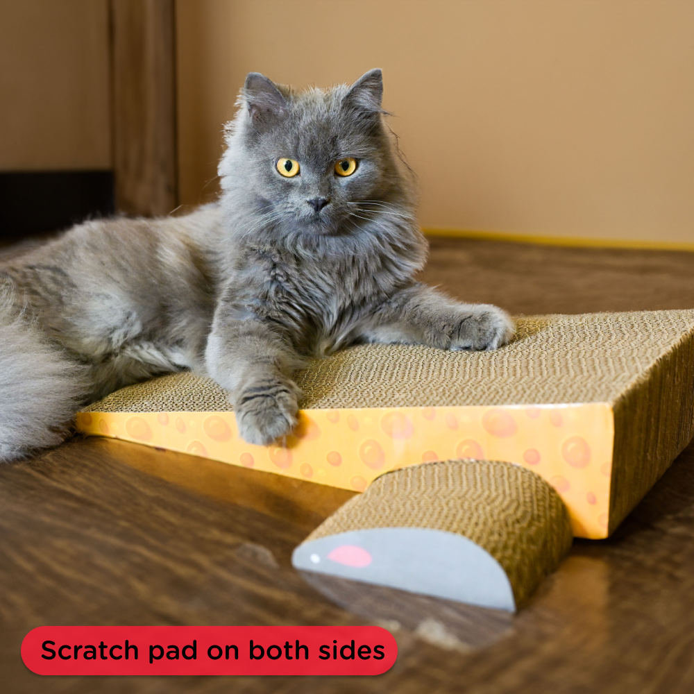 Skatrs Say Cheese Corrugated Cardboard Cat Scratcher with 2g Premium Catnip Free (Pack of 2)