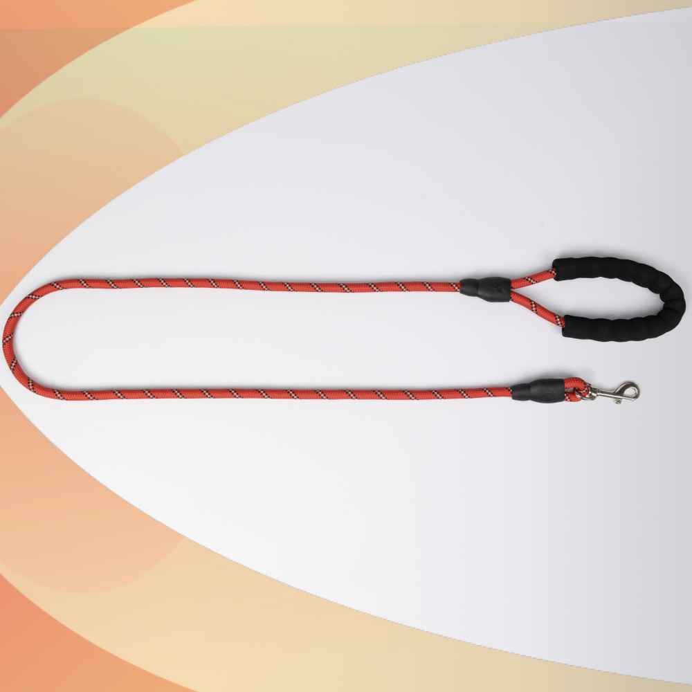 Skatrs Reflective Nylon Rope Leash for Dogs (Red)