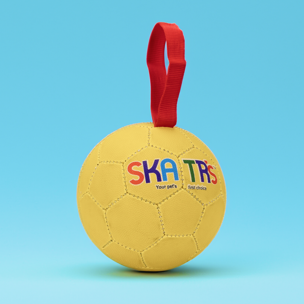 Skatrs Super Ball Toy for Dogs