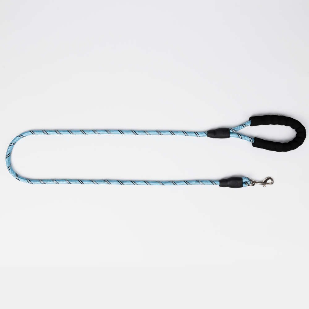 Skatrs Reflective Nylon Rope Leash for Dogs (Sky Blue)
