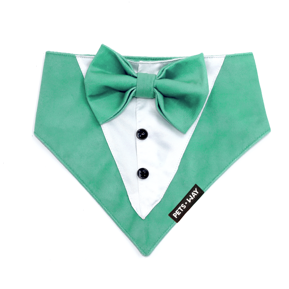 Pets Way Luxurious Velvet Tuxedo for Dogs (Teal)
