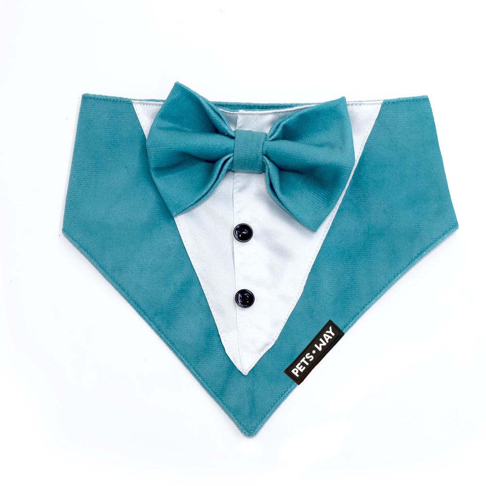 Pets Way Luxurious Velvet Tuxedo for Dogs (Turquoise)