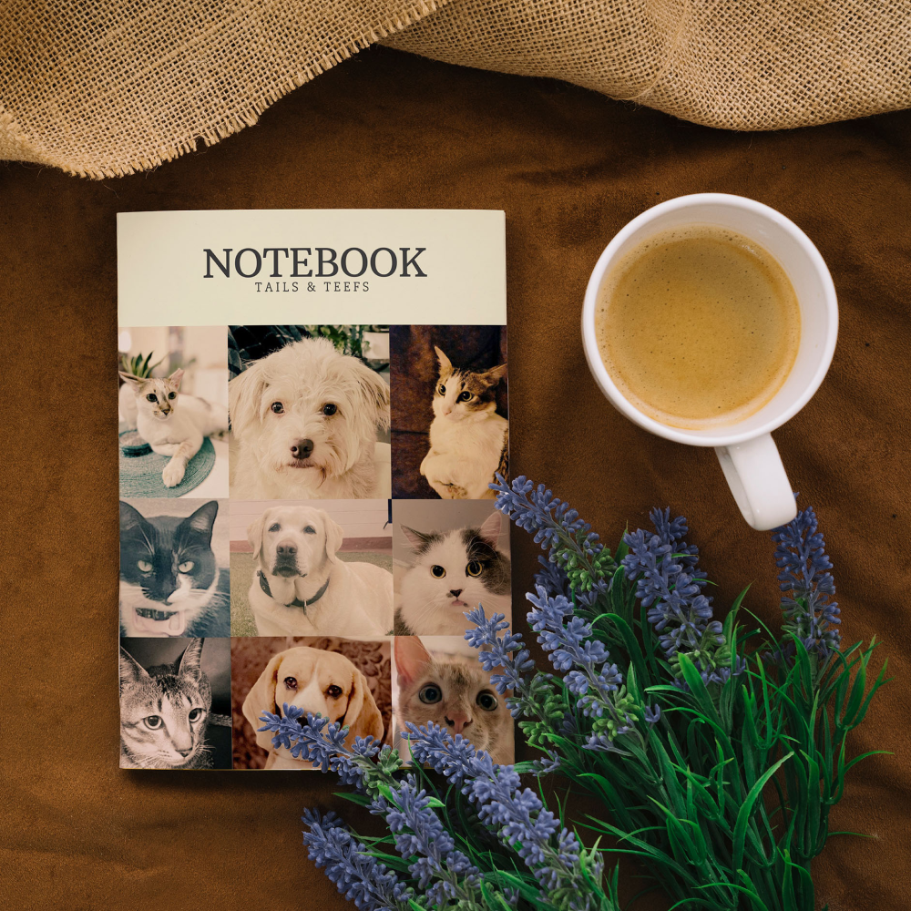 Supertails & Teefs Notebook with Pictures | Help Furries find forever homes
