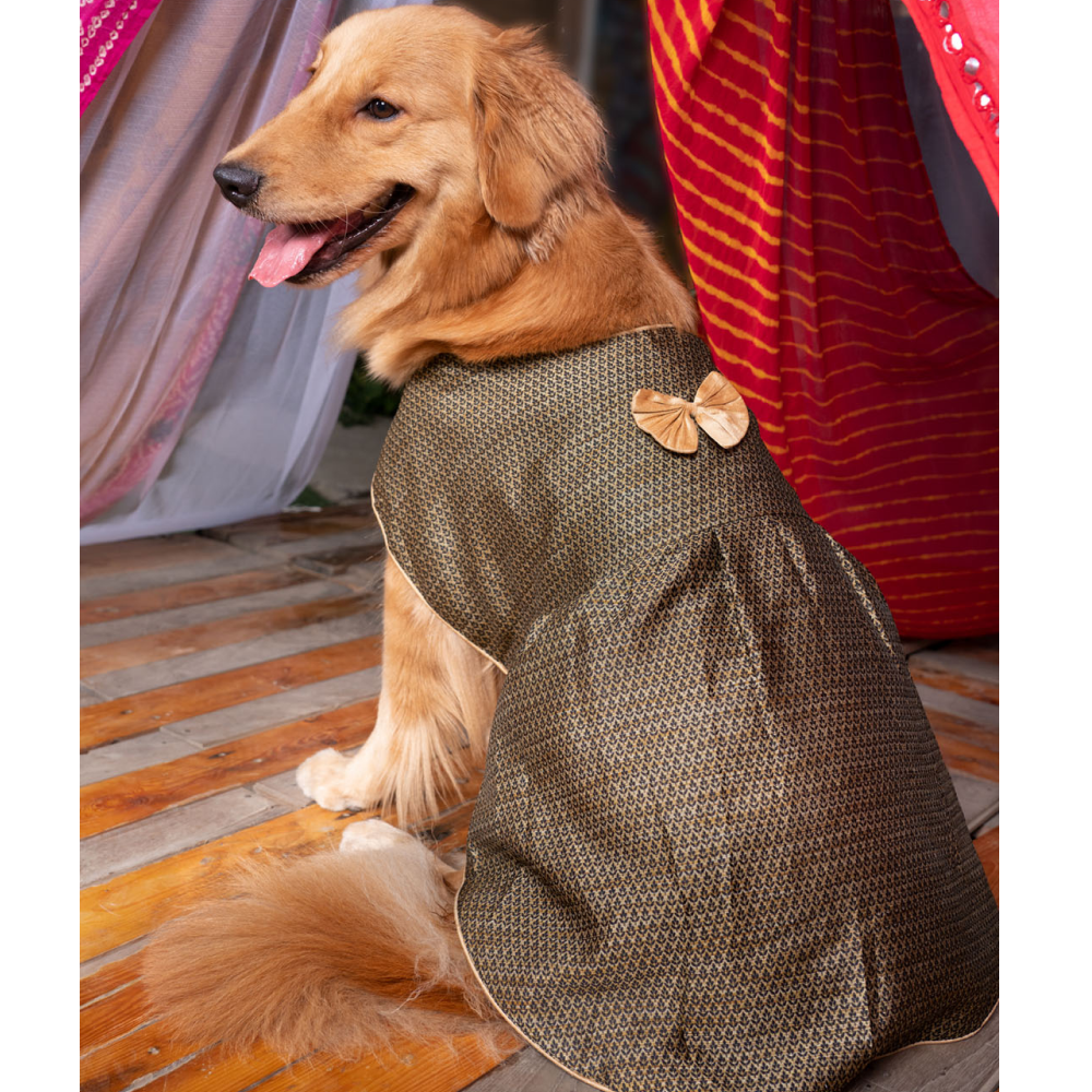 Vastramay Woven Silk Blend Dress for Dogs (Black)