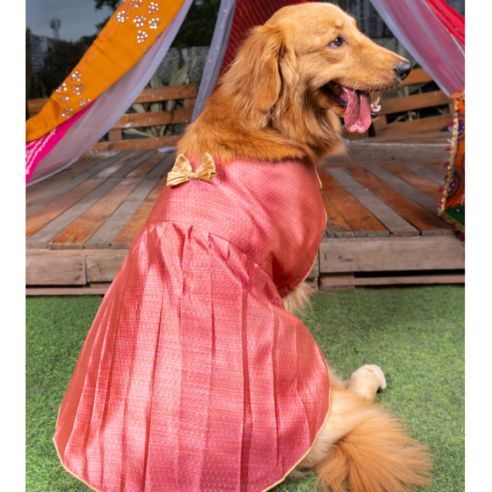 Vastramay Woven Silk Blend Dress for Dogs (Pink)