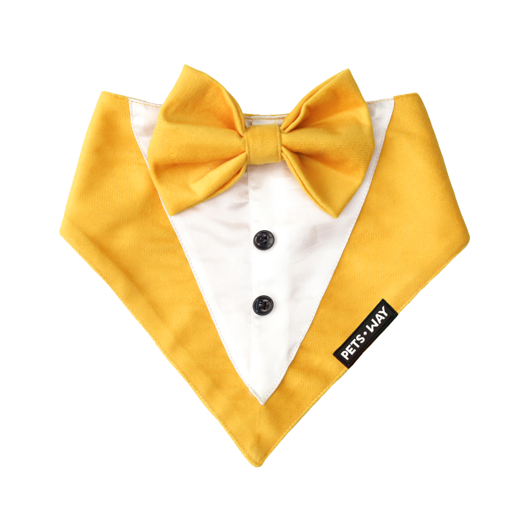 Pets Way Luxurious Velvet Tuxedo for Dogs (Amber)
