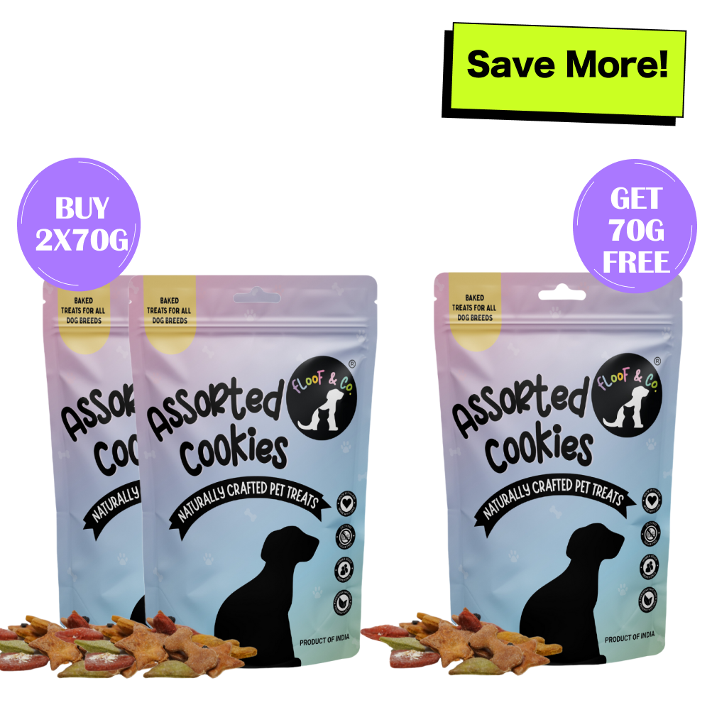 Floof & Co Assorted Cookies Dog Treats (Buy 2 Get 1 Free)
