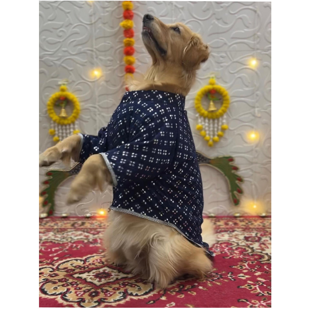 Furvanity Mirror Work Sherwani for Dogs and Cats (Blue)