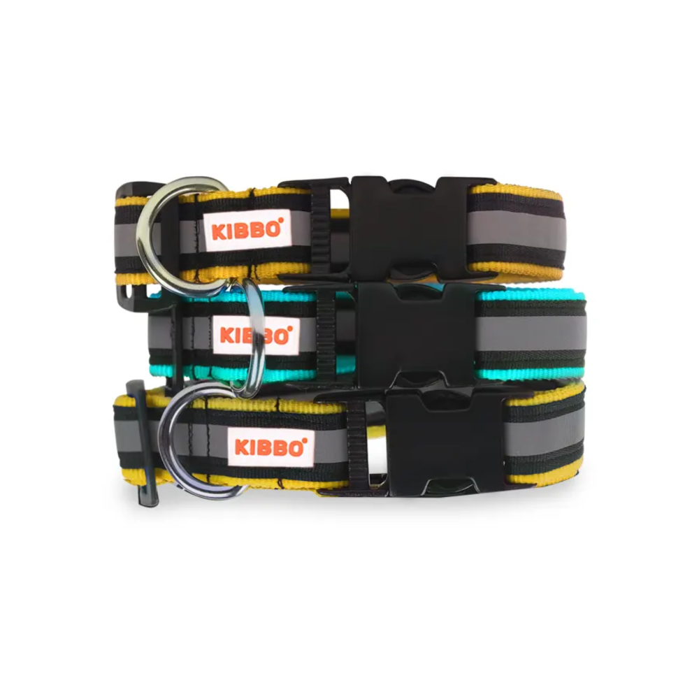 Kibbo Premium Nylon Collar with Buckle and D Ring for Dogs (Yellow, Sea Green/Pack of 3)