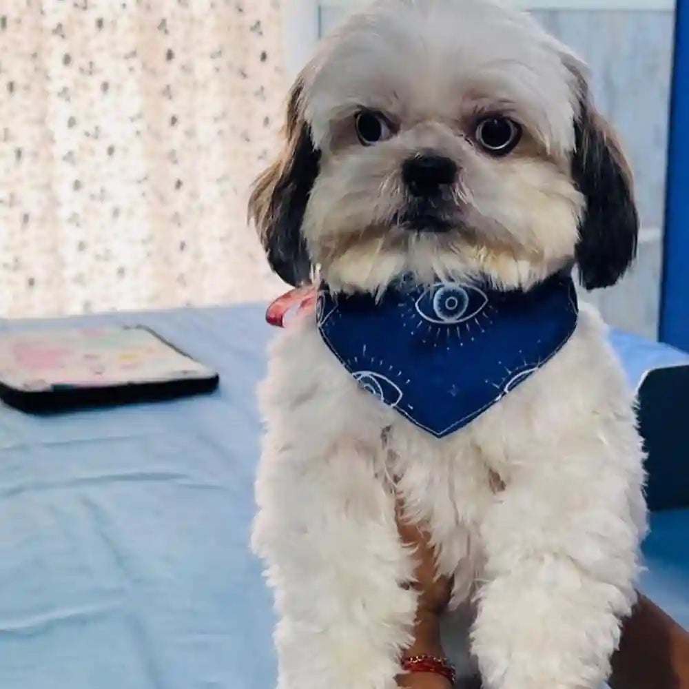 15buttons Nazar na Lage Bandana for Dogs