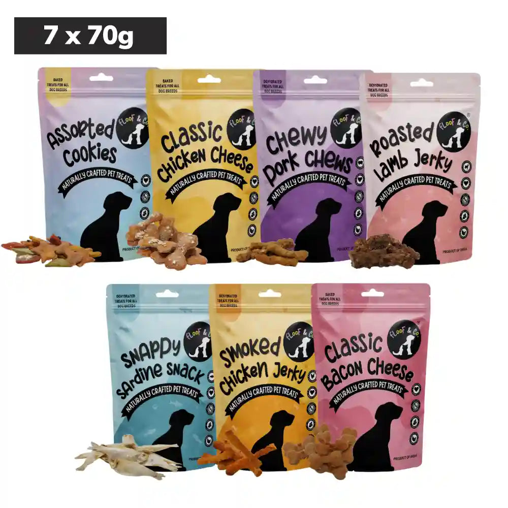 Floof & Co Assorted Cookies and Chews Dog Treats Combo