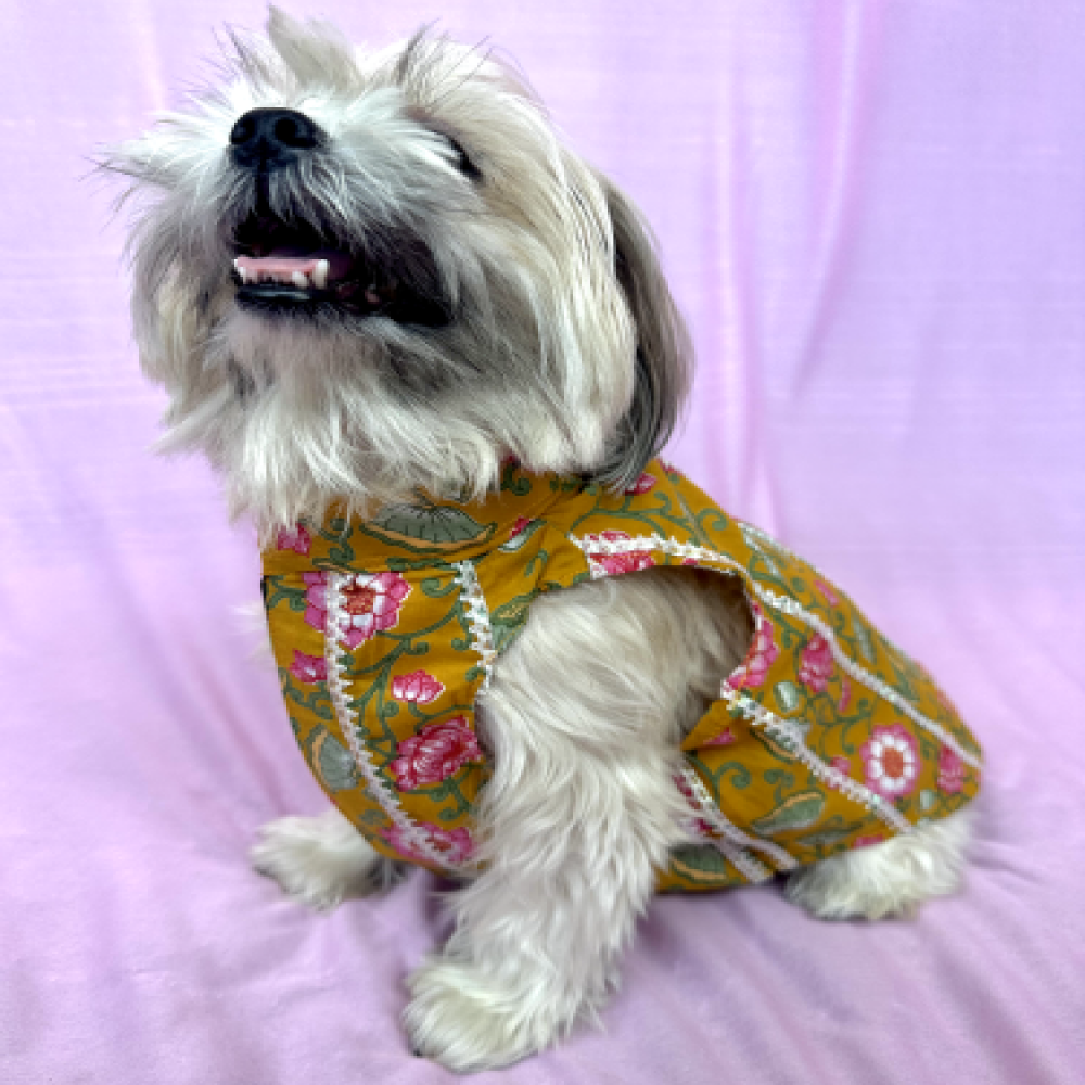 Furvanity Floral Bandhgala Dress for Dogs and Cats (Yellow)