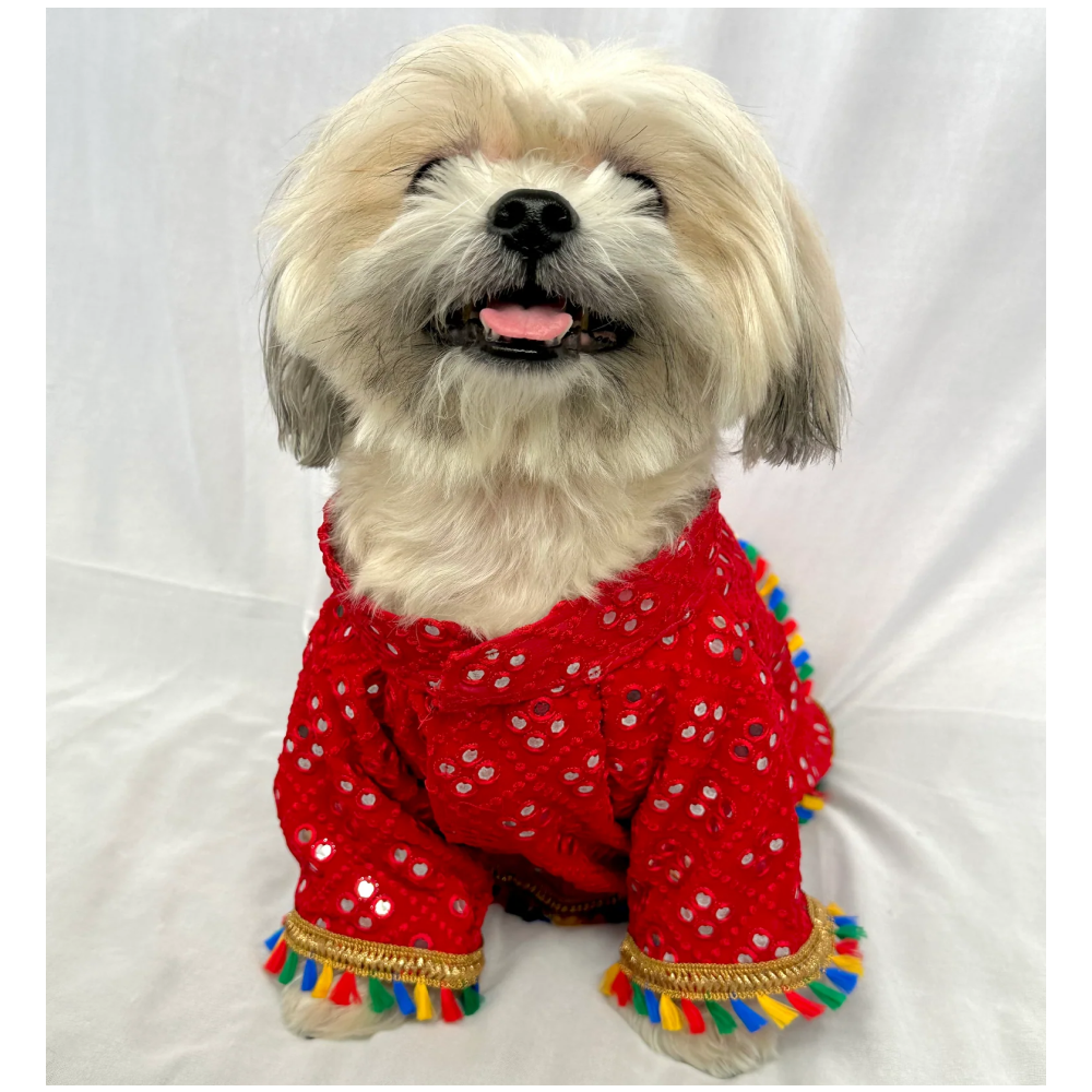 Furvanity Mirror Work Sherwani for Dogs and Cats (Red)