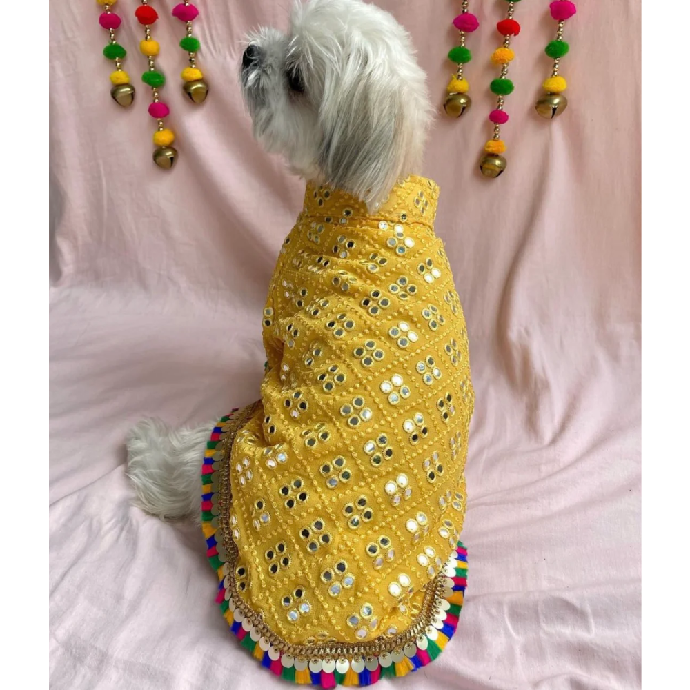Furvanity Mirror Work Sherwani for Dogs and Cats (Yellow)