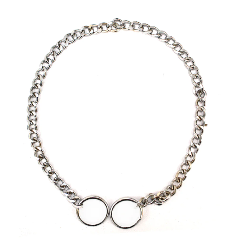 Pawpourri Metal Slip Chain Collar for Dogs and Cats
