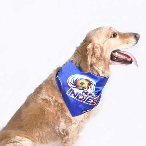Pets Way Mumbai Indies IPL Bandana for Dogs and Cats (Blue)