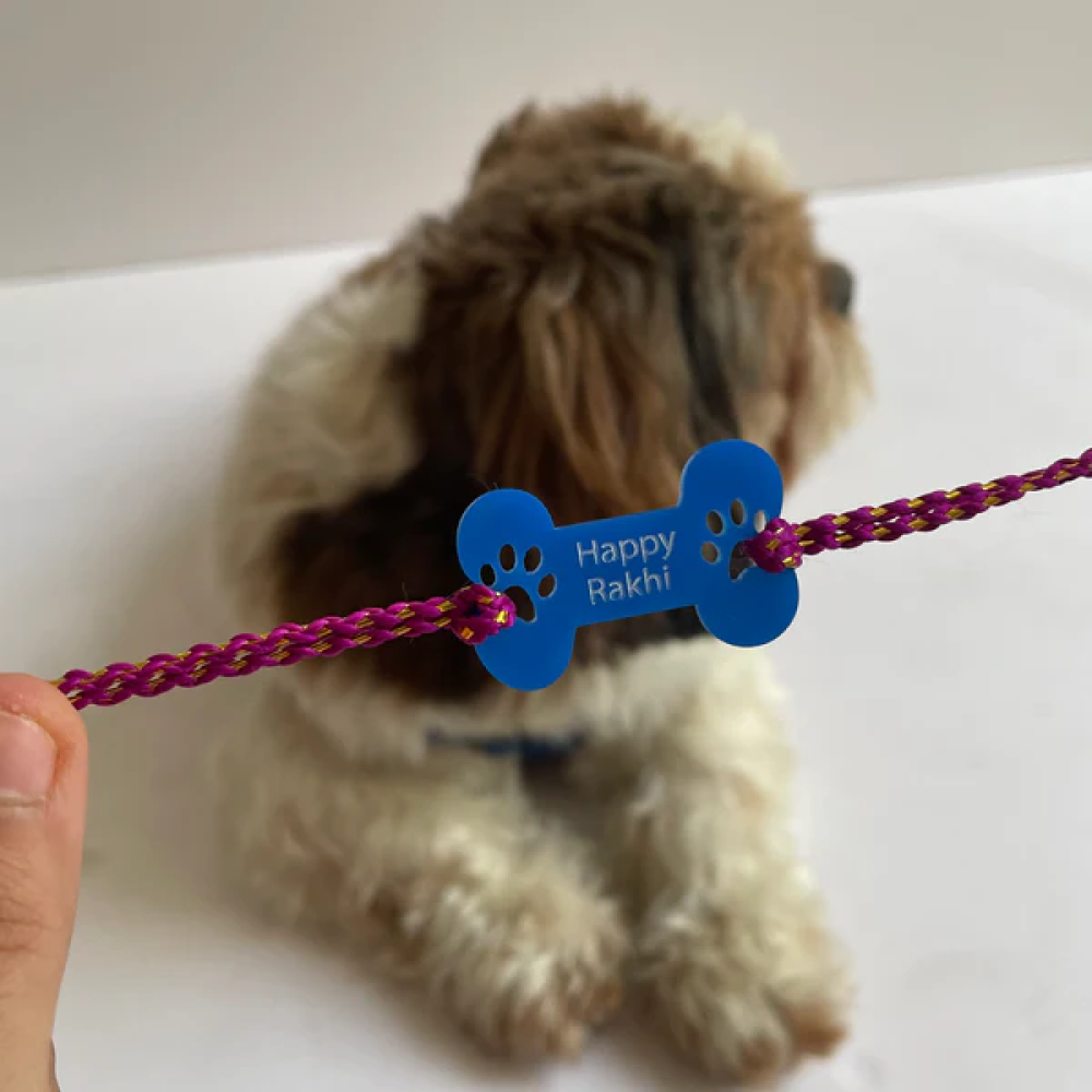 Pawgypets Bone Rakhi for Dogs