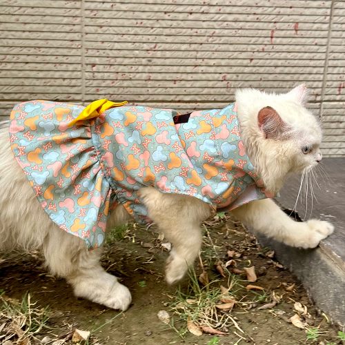 Pawgypets Mickey Overloaded Dress for Cats (Pastel Green)