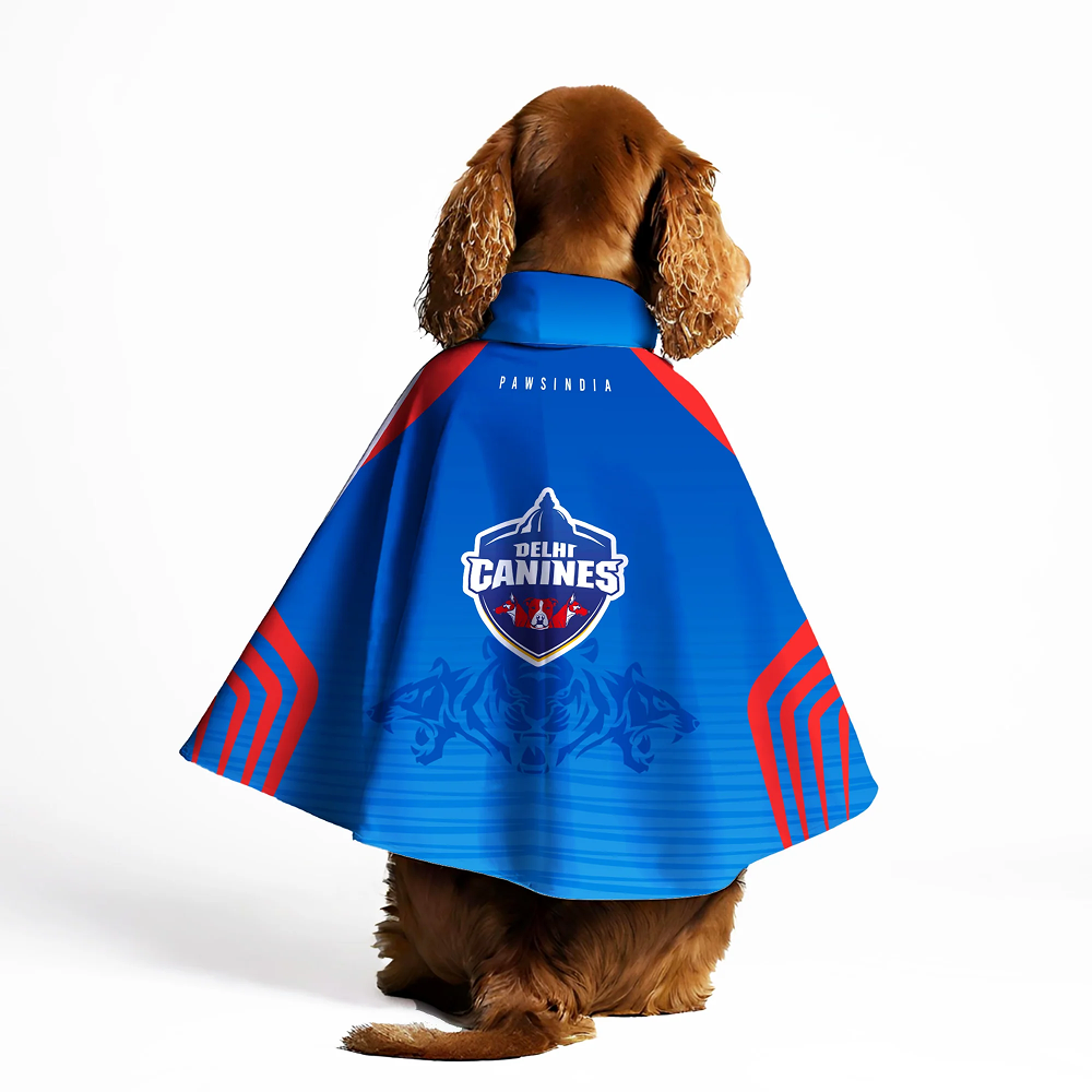 Pawsindia Delhi Canines Cape for Dogs (Blue)
