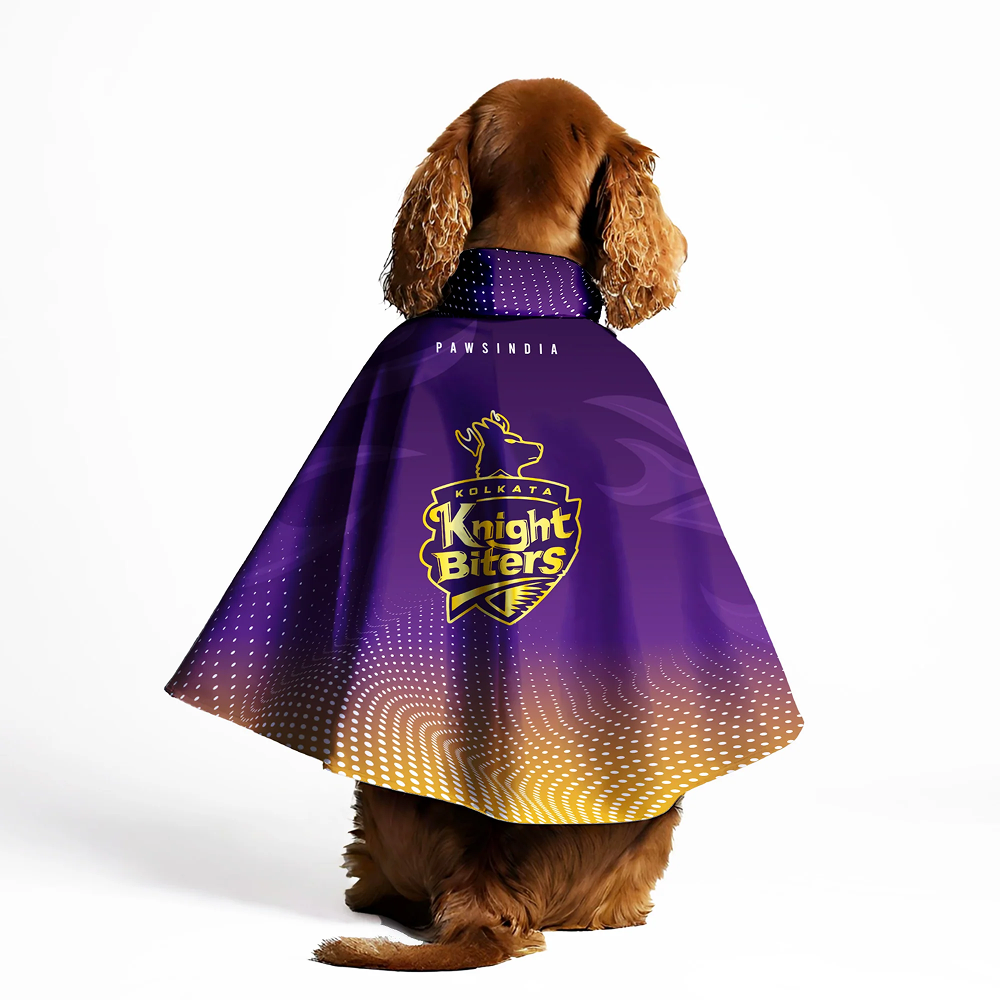 Pawsindia Kolkata Knight Biters Cape for Dogs (Purple)