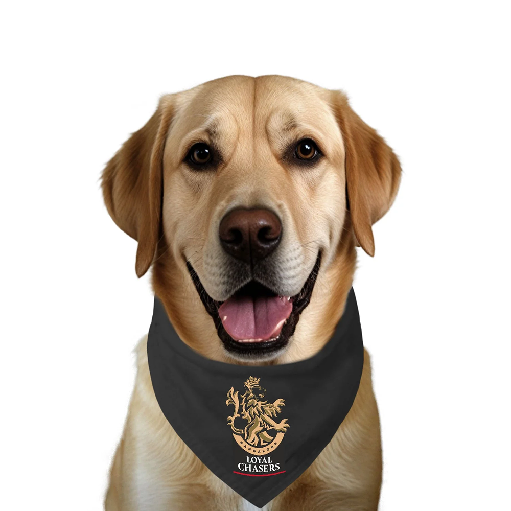Ruse IPL Loyal Chasers Bangalore Printed Bandana for Dogs (Black)