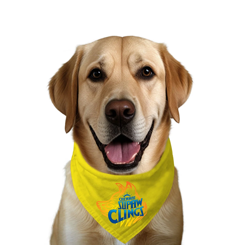 Ruse IPL Chennai Supaw Clings Printed Bandana for Dogs (Yellow)