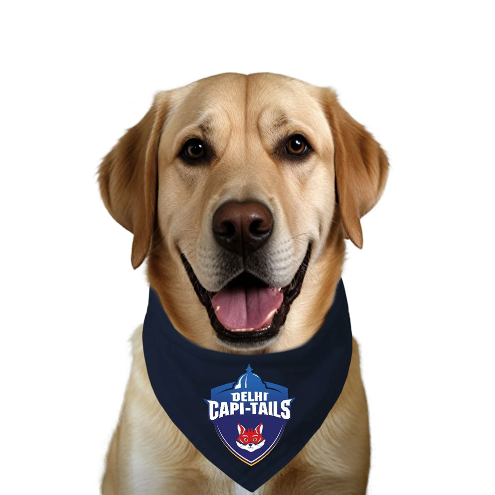 Ruse IPL Delhi Capi Tails Printed Bandana for Dogs (Navy)