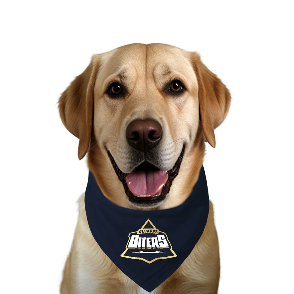 Ruse IPL Gujarat Biters Printed Bandana for Dogs (Navy)