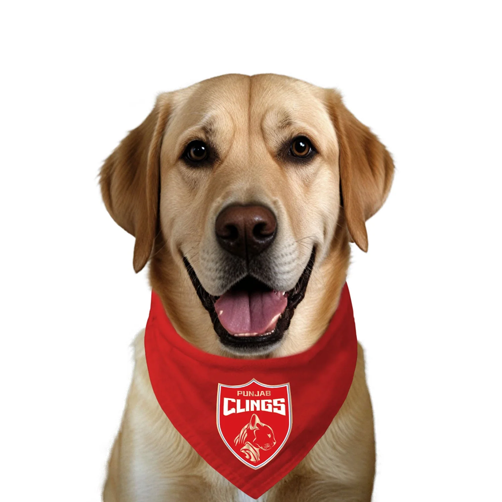 Ruse IPL Punjab Clings Printed Bandana for Dogs (Red)