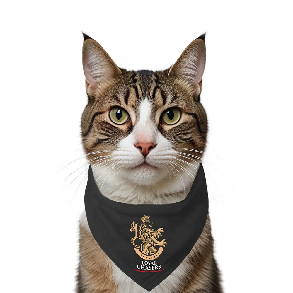 Ruse IPL Loyal Chasers Bangalore Printed Bandana for Cats (Black)