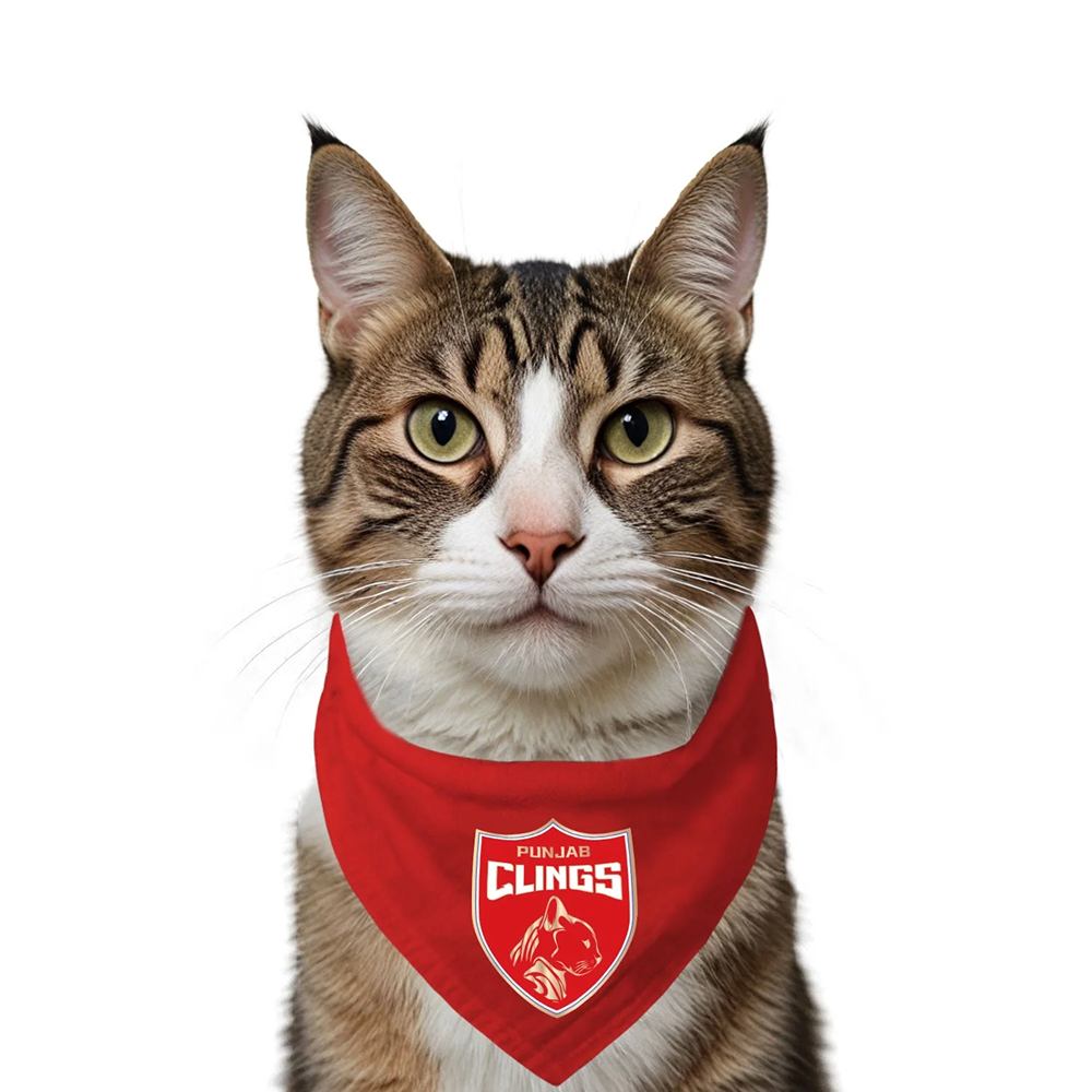 Ruse IPL Punjab Clings Printed Bandana for Cats (Red)