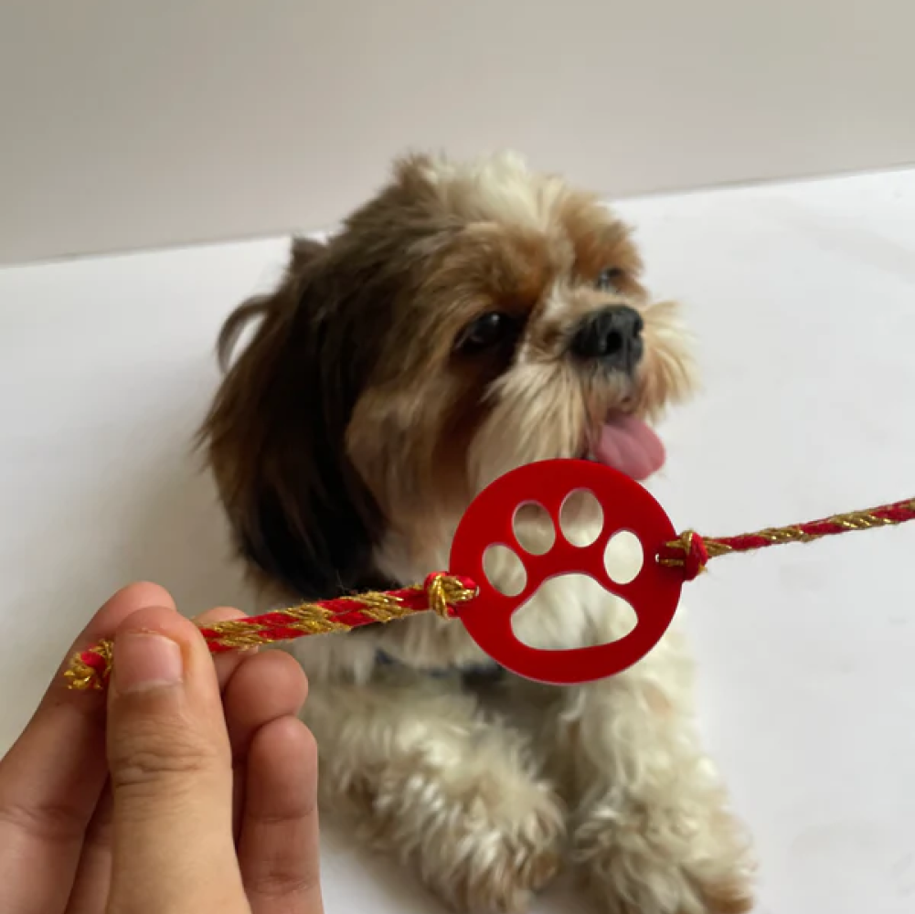 Pawgypets Paw Rakhi for Dogs