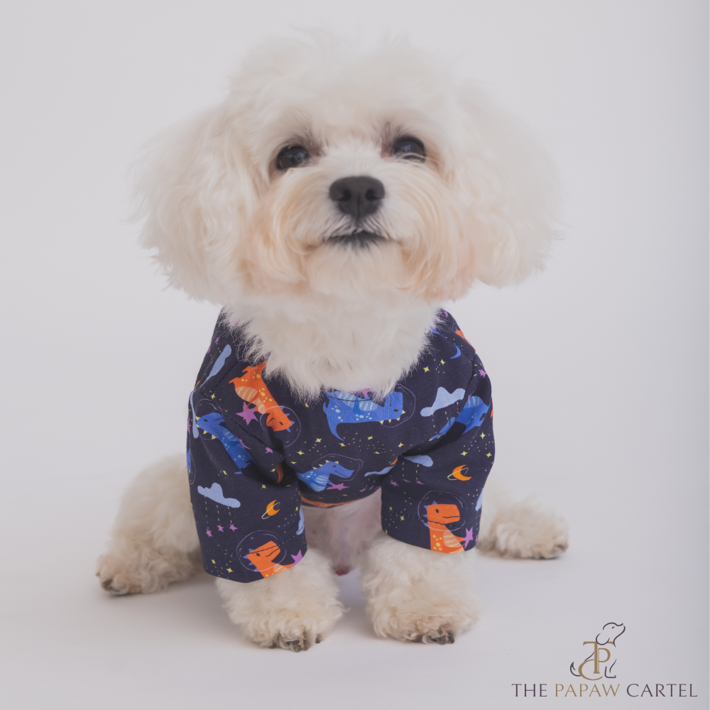 The Papaw Cartel Space Dino Tshirt for Dogs (Blue)
