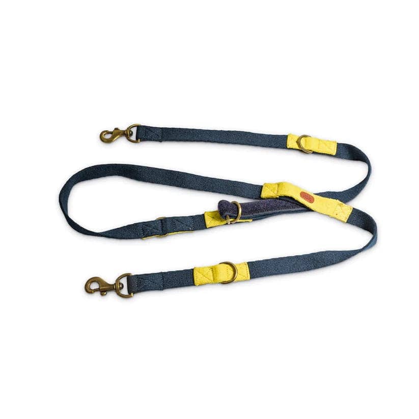 PetWale Multi Functional Leash for Dogs (Blue with Yellow)