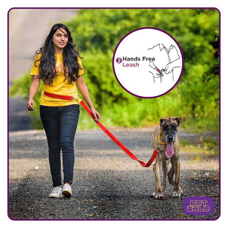 PetWale Multi Functional Leash for Dogs (Blue with Yellow)