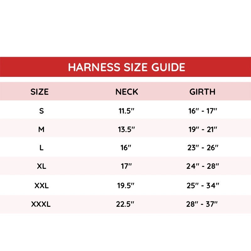 Pet And Parents (Namaste Pets) Stripy Palms Reversible Harness for Dogs