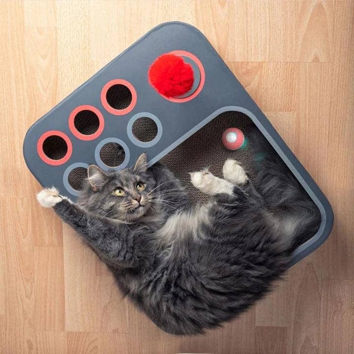 Cheerble Board Game + Ball Toy for Cats
