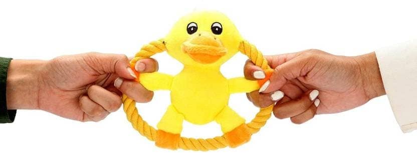 Pawsindia Crazy Frisbee Duck Toy for Dogs