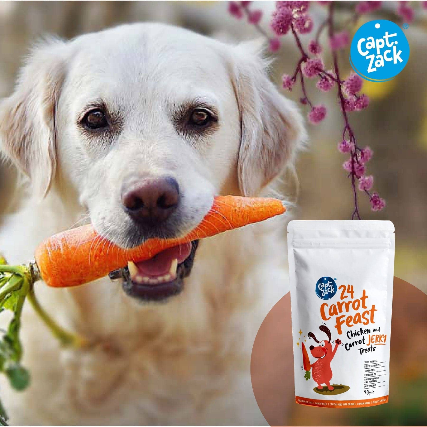 Captain Zack 24 Carrots Feast Chicken & Carrots Jerky Treats