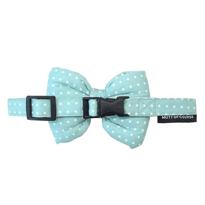 Mutt of Course Icy Blue Bow For Dogs