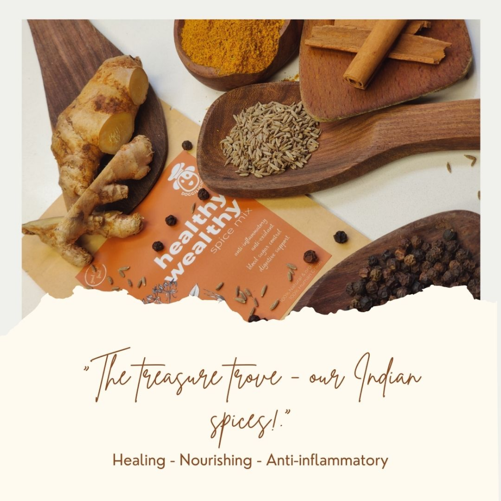 Doggielicious Healthy Wealthy Spice Mix for Dogs