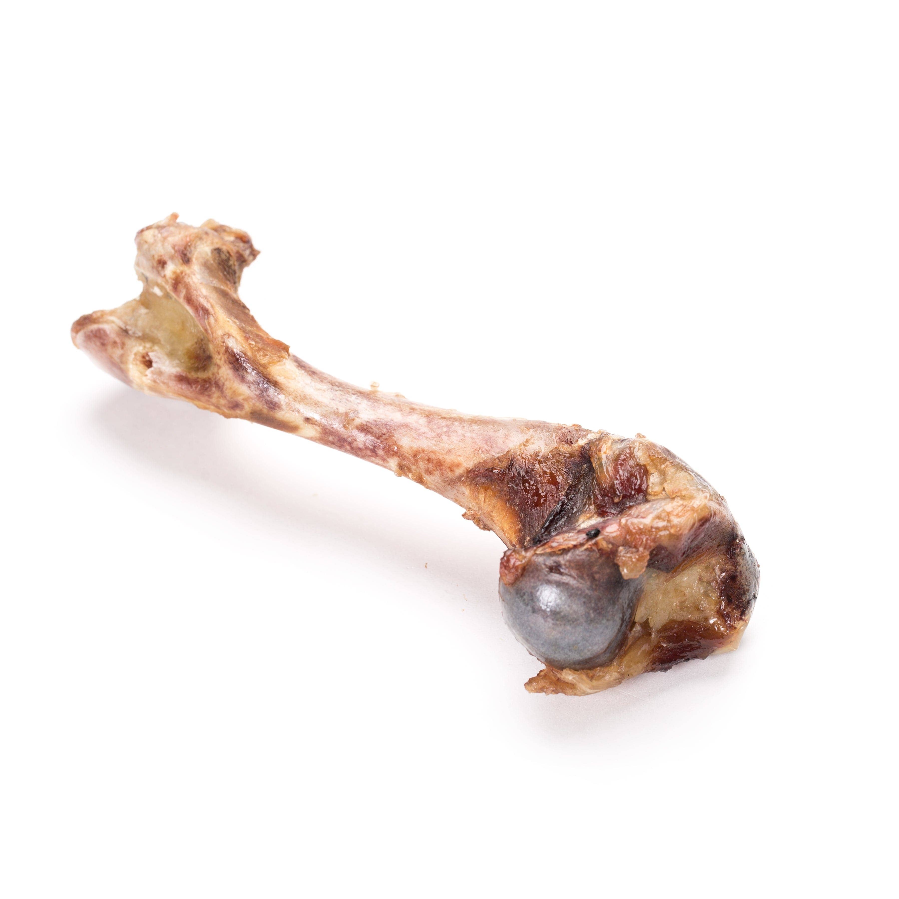 Canine Craving Dehydrated Farm Raised Meatless Ham Bone (Pork) Dog Treat