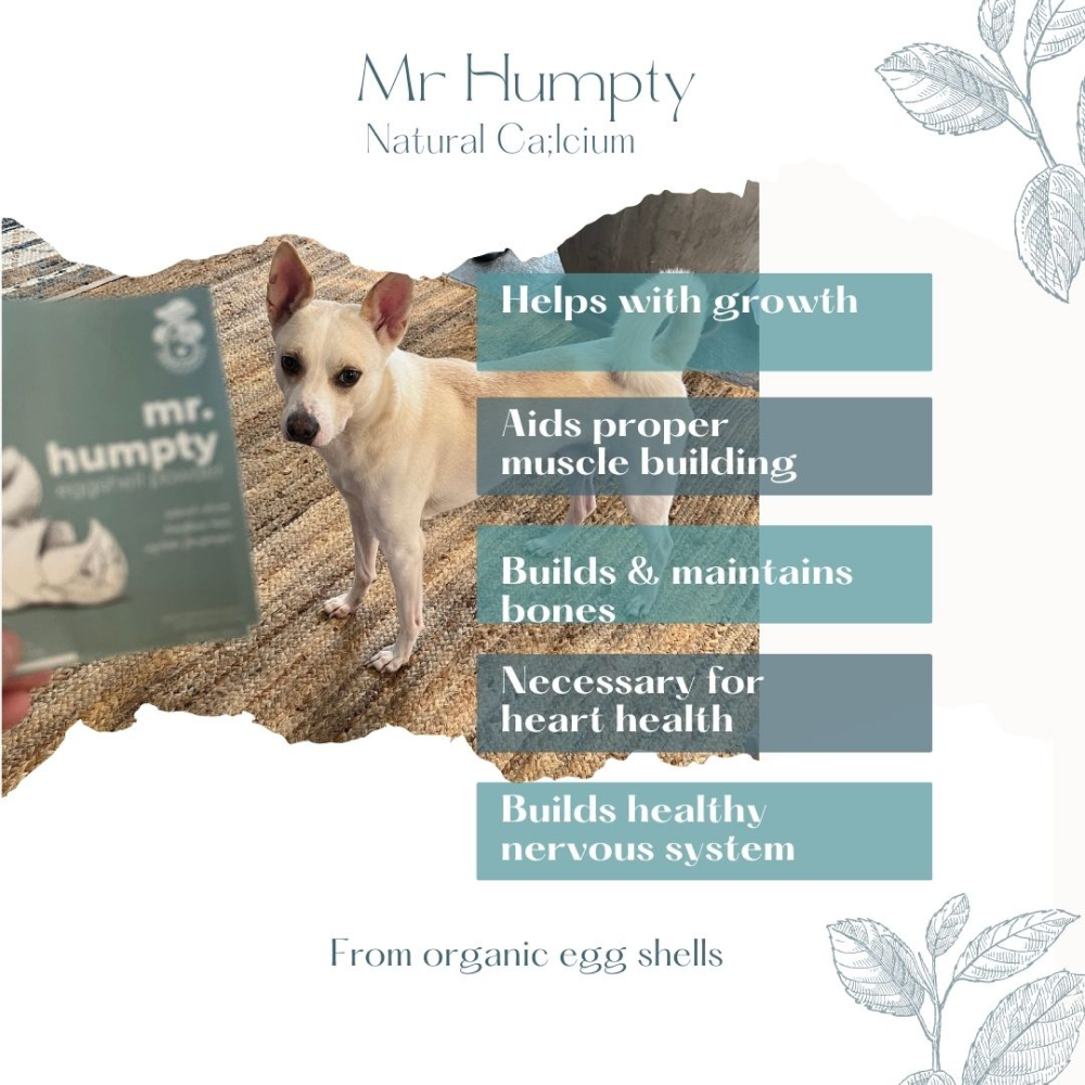Doggielicious Mr Humpty Egg Shell Powder for Dogs