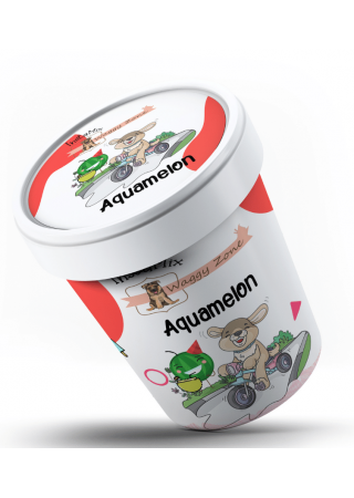 Waggy Zone Watermelon Aquamelon Ice Cream for Dogs