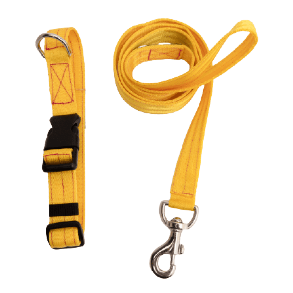 FurBuddies Collar & Leash Set for Dogs (Yellow Nylon)