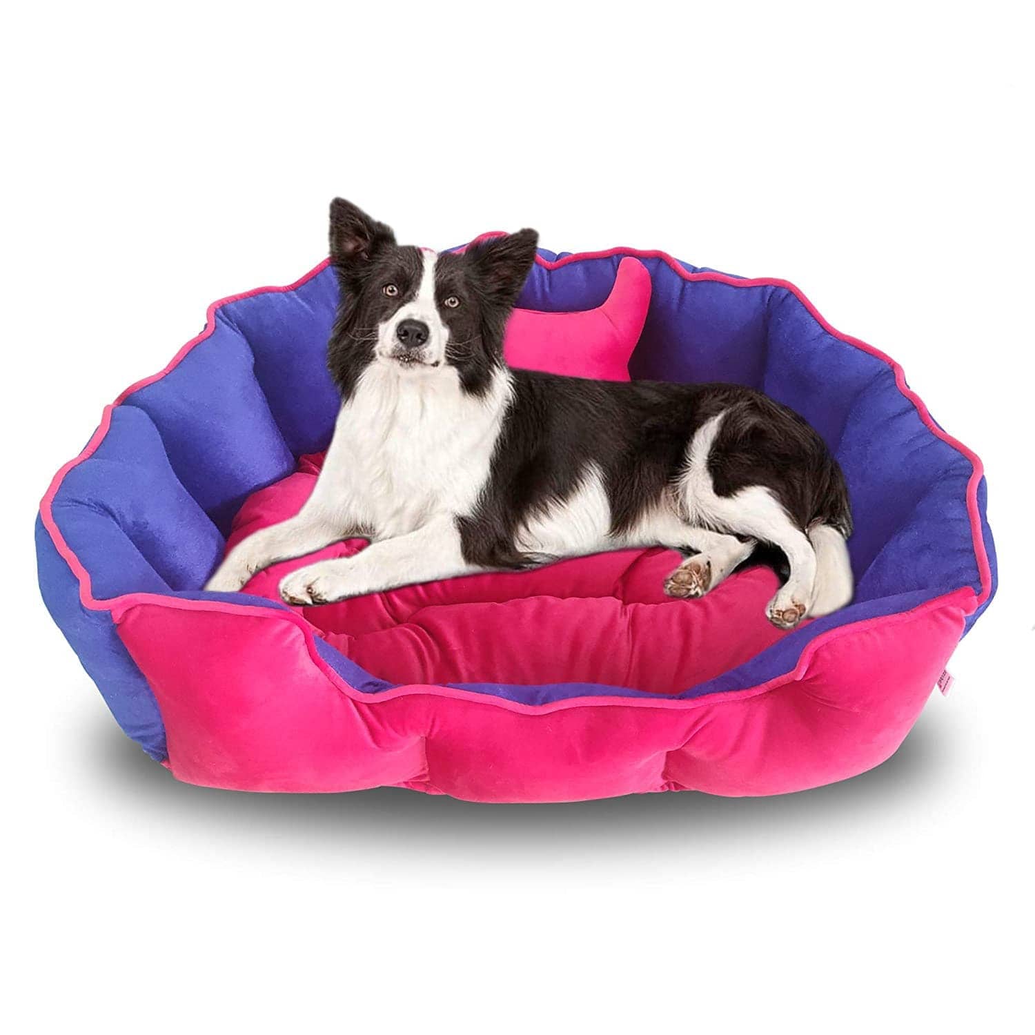 Hiputee Reversible Holland Velvet Bed for Pets (Pink Blue)